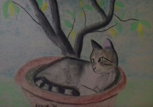 Il gatto sotto il limone van BERNARDO BANDINELLI, Tekening te koop op Singulart
