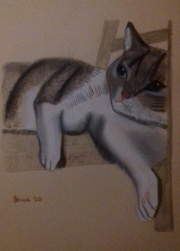 Il gatto e la sedia van BERNARDO BANDINELLI, Tekening te koop op Singulart