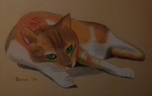 Lo sguardo del gatto van BERNARDO BANDINELLI, Tekening te koop op Singulart