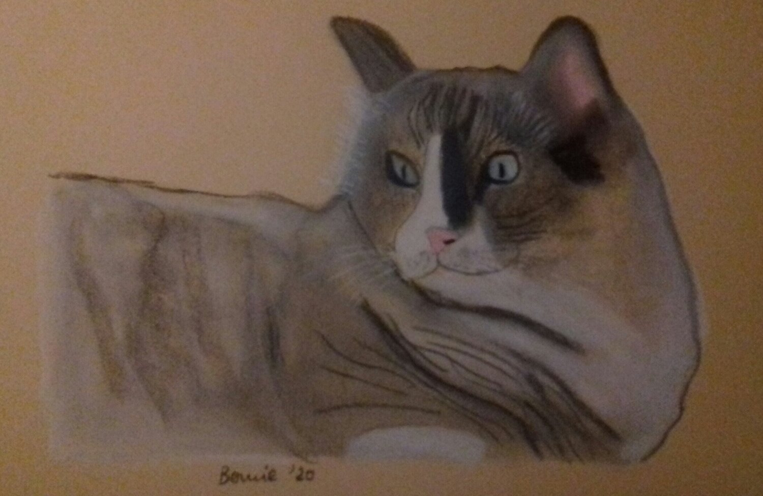 Principessa BERNARDO BANDINELLI