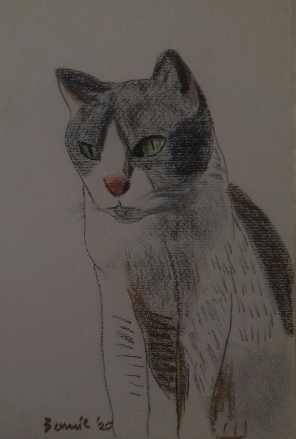 La gattina Minnie BERNARDO BANDINELLI