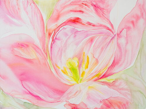 Tulip 2 by Galina Lorentzen, 회화 for Sale on Singulart
