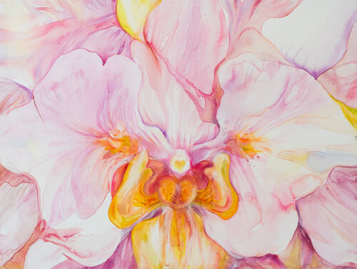 Orchid van Galina Lorentzen, Schilderij te koop op Singulart