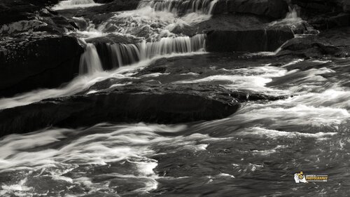 Nature’s Etching in Light and Dark di Karlton McIver, Fotografia in vendita su Singulart
