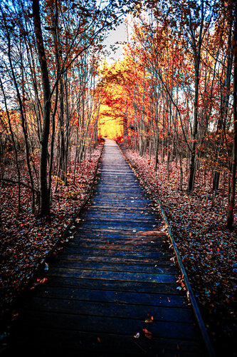 Threshold of Light di Karlton McIver, Fotografia in vendita su Singulart