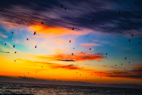 Flight Across a Painted Sky – Collectible Fine Art Ocean Print Karlton McIver