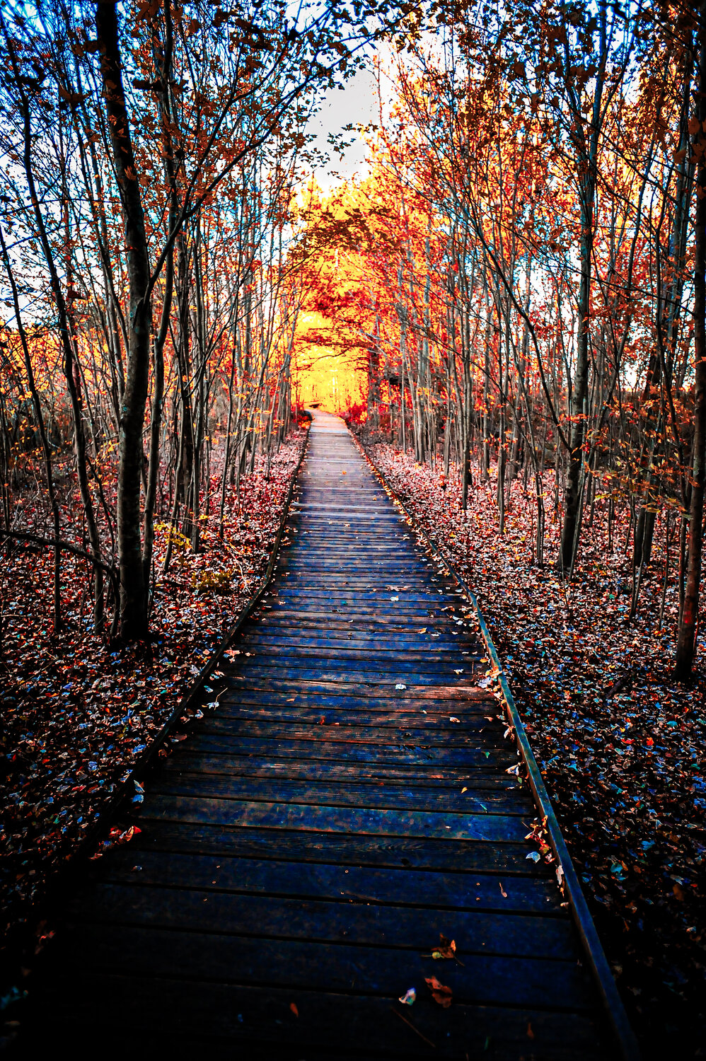 Threshold of Light Karlton McIver