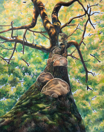 Beneath the Canopy — A Moment in the Forest par Stephanie Künzli Ycaza, Peinture en vente sur Singulart