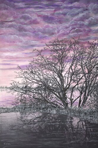 Branches of grief and clouds full of loss by Charlotte Eder, 사진 for Sale on Singulart