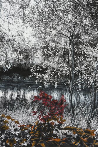 Flourish (Landscape) Art Quality Poster di Charlotte Eder, Stampa in vendita su Singulart