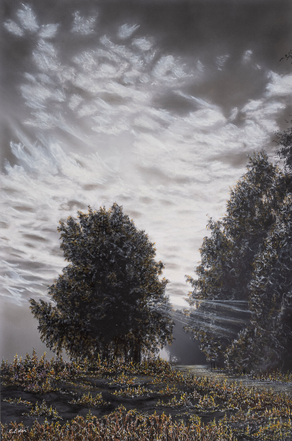 Light and shadows (photography colorized by hand) Charlotte Eder