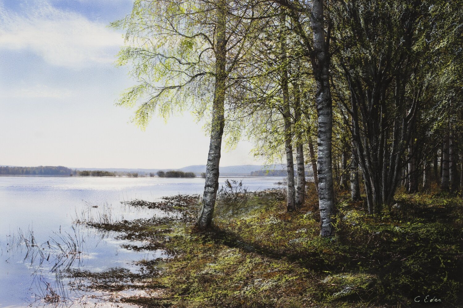 Spring Light (Landscape) Art Quality Poster Charlotte Eder Impresión en venta