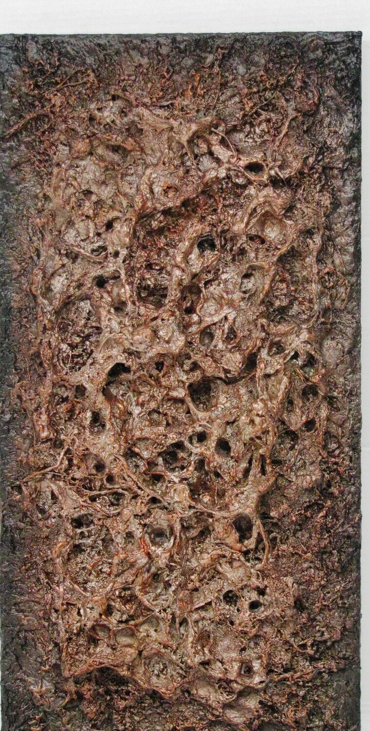 Marasma Fiorenzo Belfiore