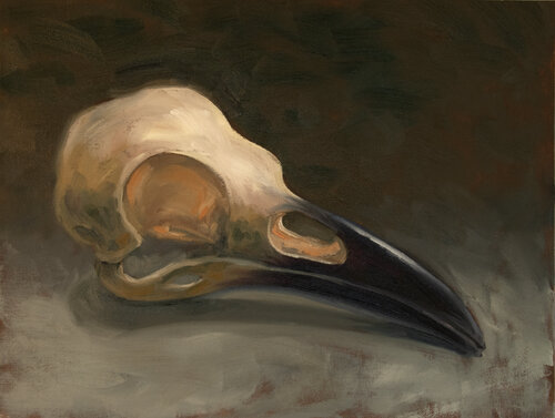 A Bird Skull van Jukka Klemetti, Schilderij te koop op Singulart