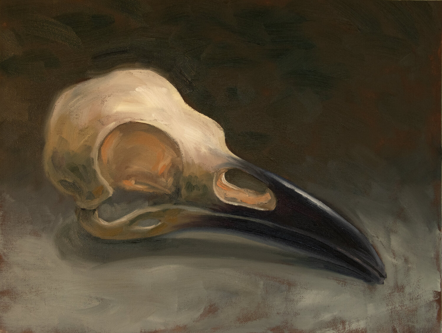 A Bird Skull Jukka Klemetti