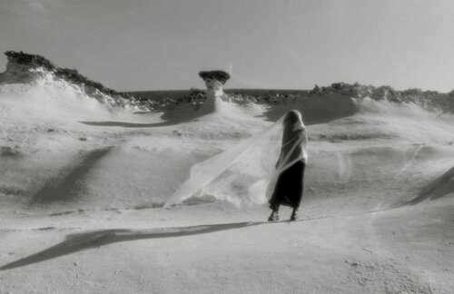 Wind de Ines Bahr, Fotografía a la venta en Singulart