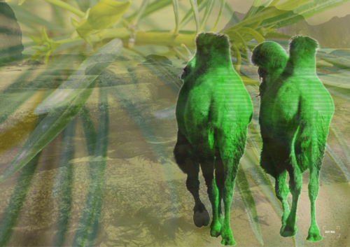 Nr. 49 "Zwischen Welten" Philippinen - Norwegen - Nomadenseele von Gabriele Steinlechner, Digital kaufen auf Singulart