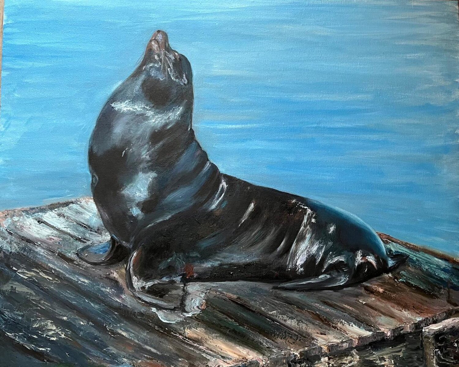 San Fancisco, pier 39 Marina Gavrilova