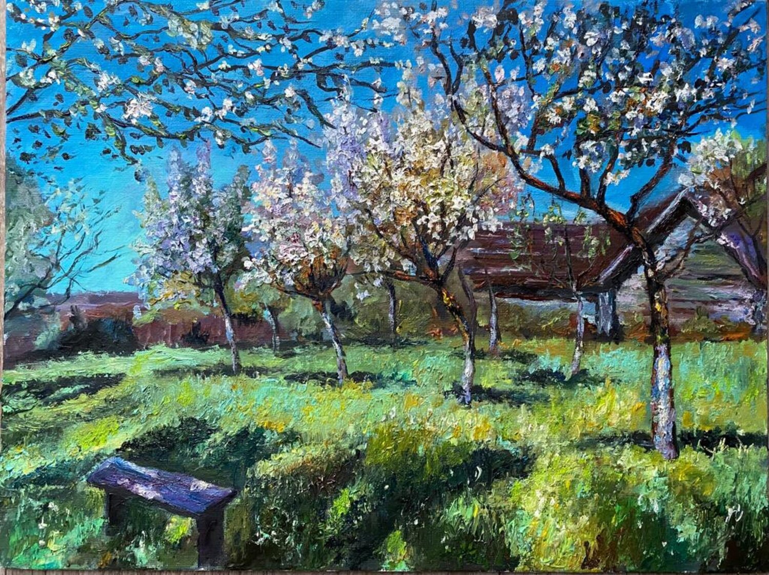 Apple blossom Marina Gavrilova