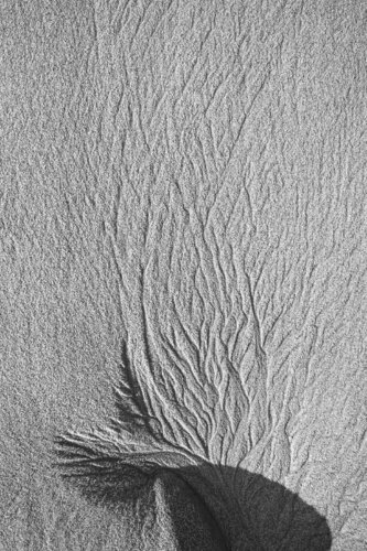 "Aerial Studies" - Untitled 11 van Gary Moss, Fotografie te koop op Singulart