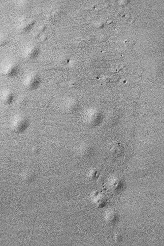 "Aerial Studies" - Untitled 7 van Gary Moss, Fotografie te koop op Singulart