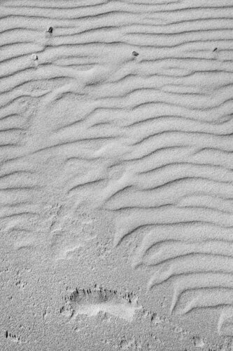 "Aerial Studies" - Untitled 19 von Gary Moss, Fotografie kaufen auf Singulart