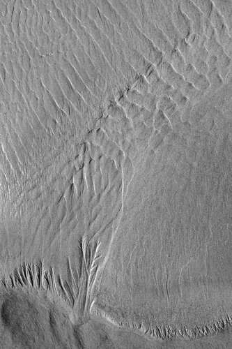 "Aerial Studies" - Untitled 6 von Gary Moss, Fotografie kaufen auf Singulart