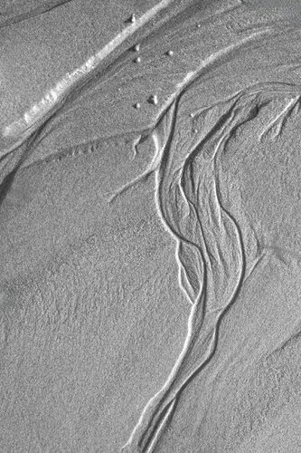 "Aerial Studies" - Untitled 18 di Gary Moss, Fotografia in vendita su Singulart