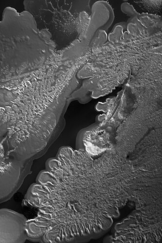 "Microverse Study" - Cellphone low earth flyby. by Gary Moss, Photography for Sale on Singulart