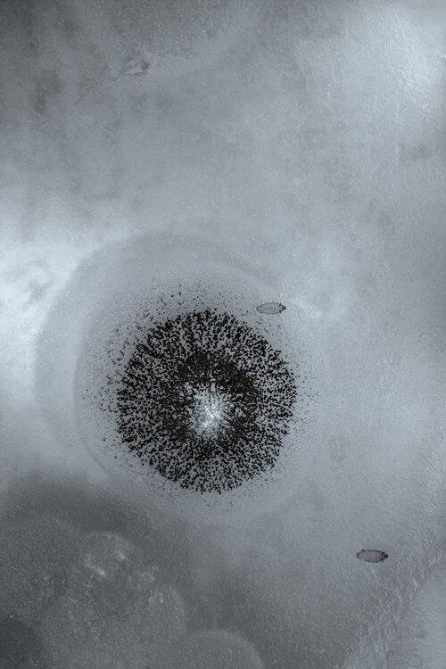 "Microverse Study" - Untitled Microbe 1 Gary Moss