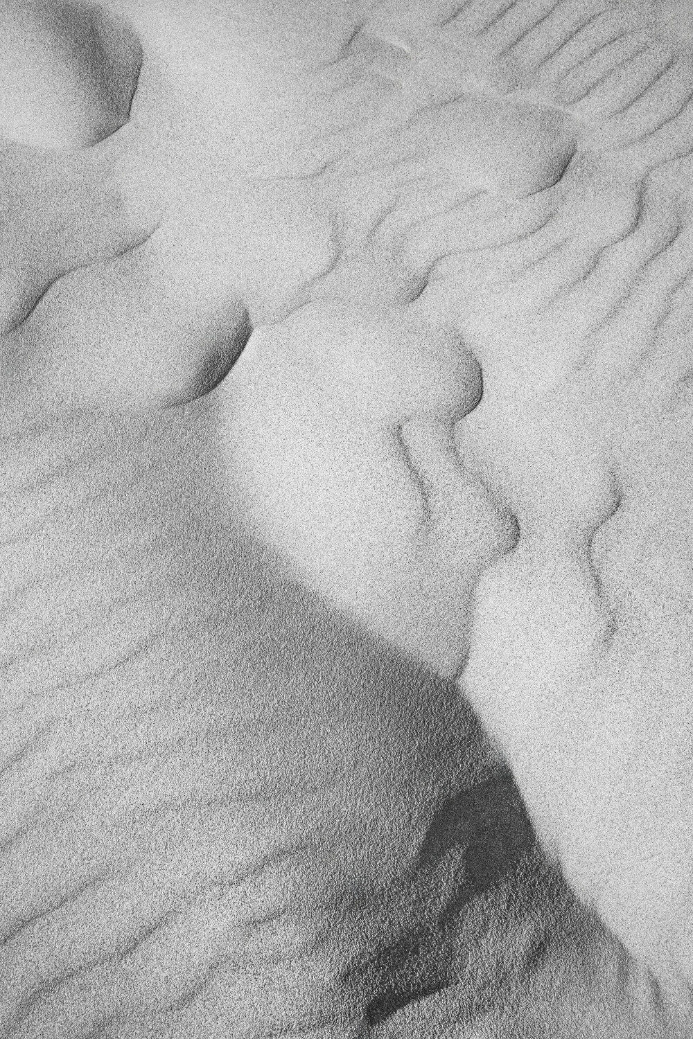 "Aerial Studies" - Untitled 8 Gary Moss