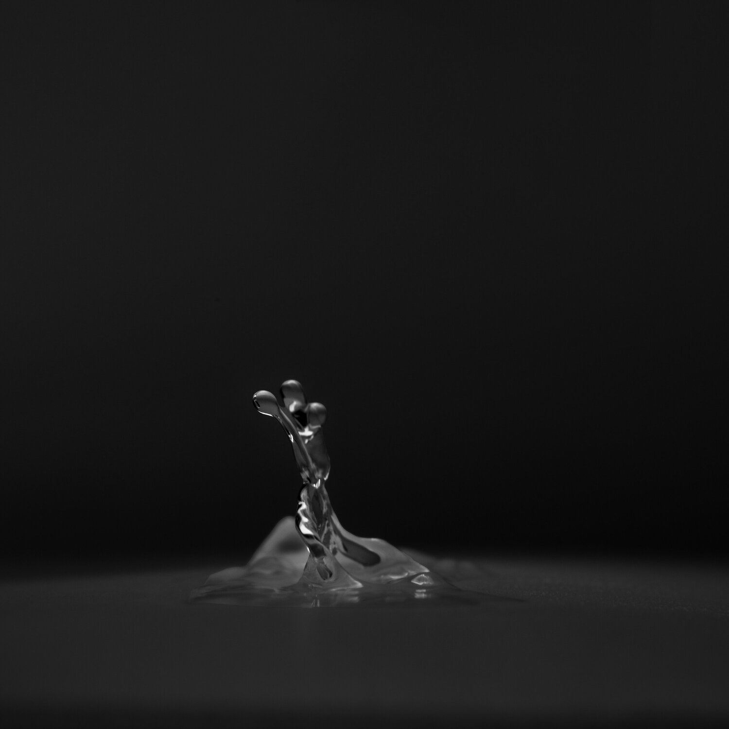 "Harmonic Resonance" - Hz #1 Gary Moss