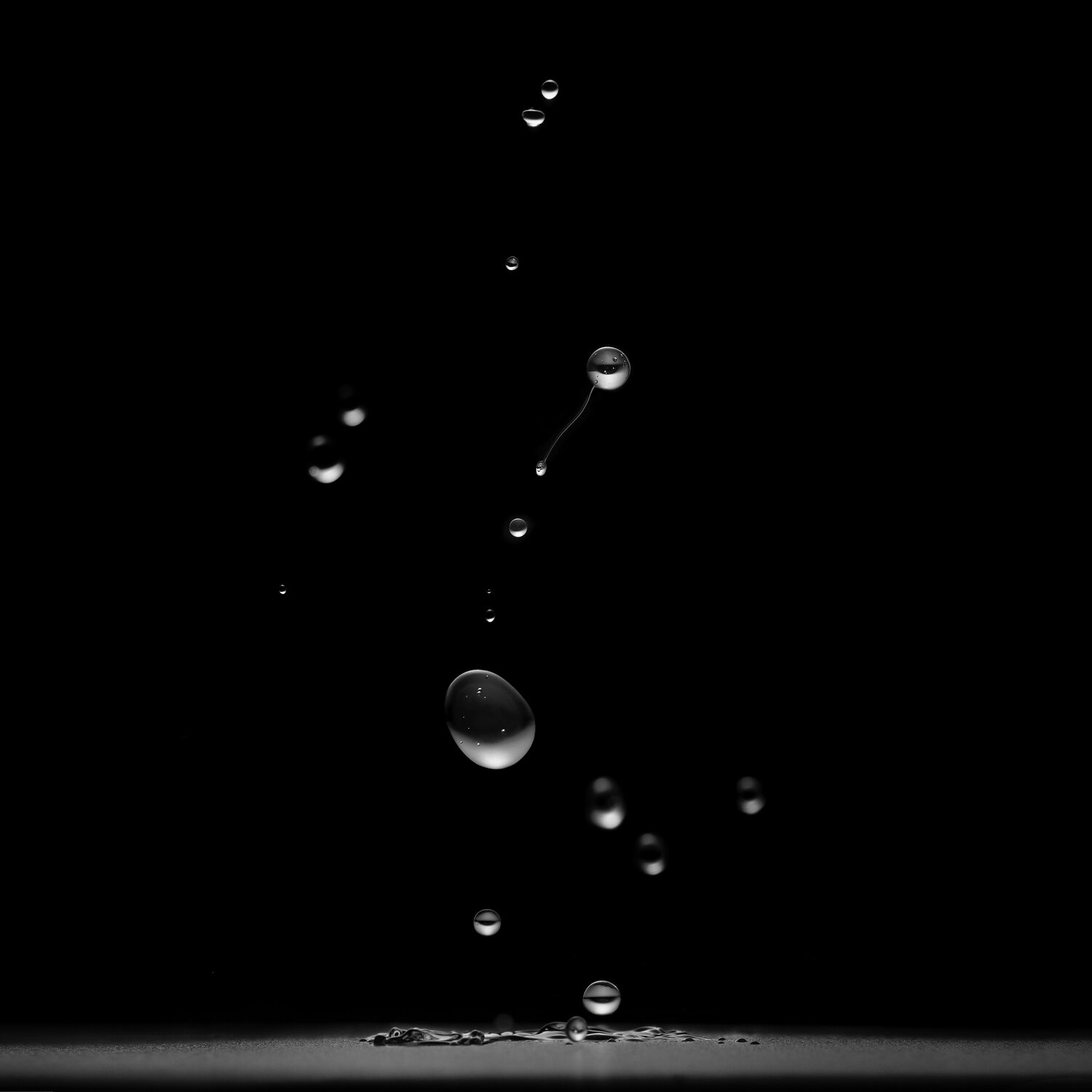 "Harmonic Resonance" - 101 Hz Gary Moss