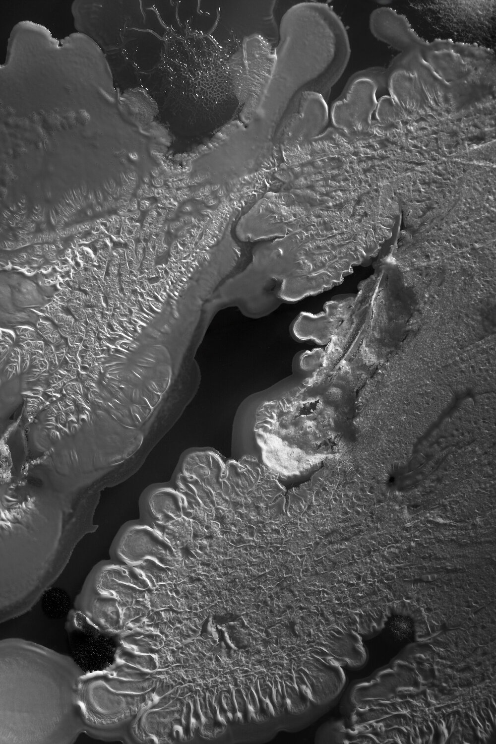 "Microverse Study" - Cellphone low earth flyby. Gary Moss Photography for sale