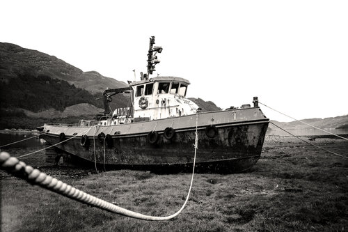 Highland Marc Jordi Fischer