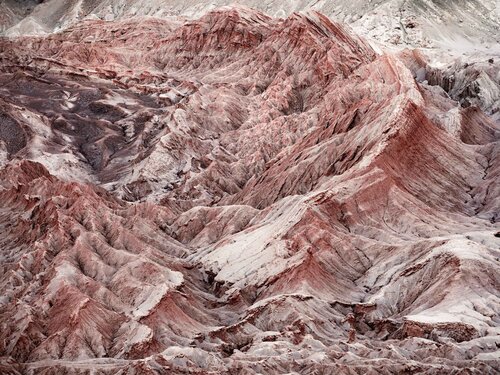 Catarpe Marc Jordi Fischer