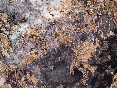 Quisquiro by Marc Jordi Fischer, Photography for Sale on Singulart