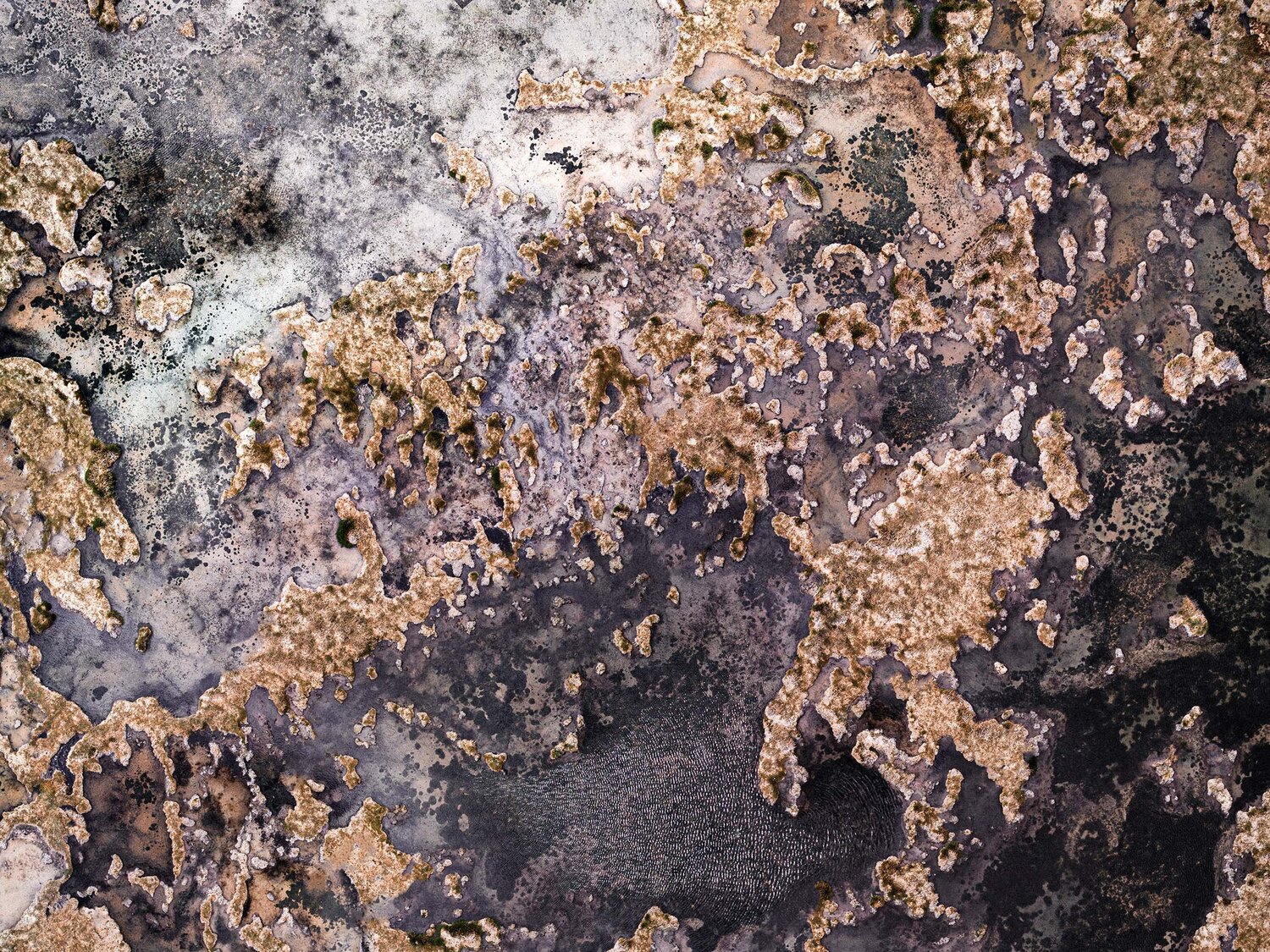 Quisquiro Marc Jordi Fischer Fotografie zu verkaufen
