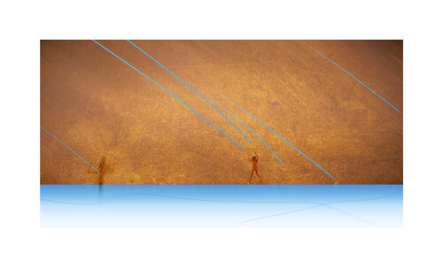 Everything Evolves di R. Scott MacLeay, Fotografia in vendita su Singulart