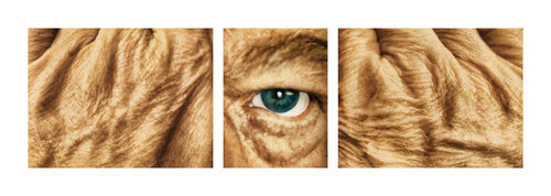 Searching / Tools / Traces (Triptych) di R. Scott MacLeay, Fotografia in vendita su Singulart