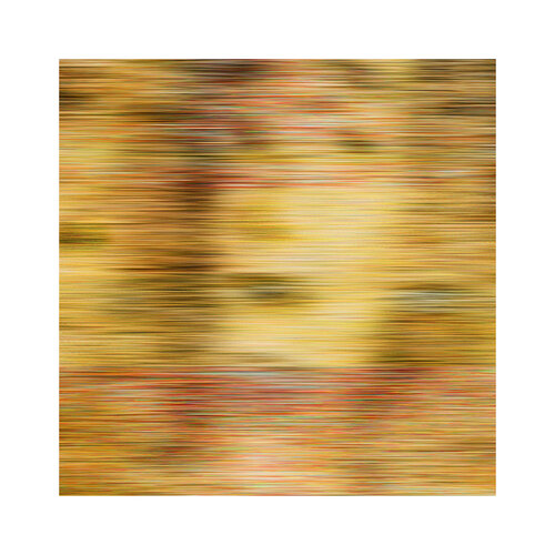 Une Paranoïa Virale von R. Scott MacLeay, Fotografie kaufen auf Singulart