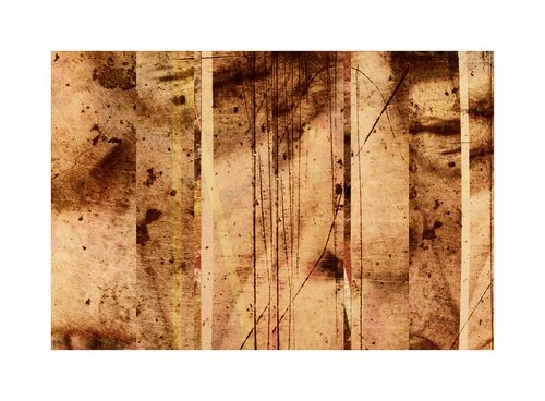 Bite The Bullet von R. Scott MacLeay, Fotografie kaufen auf Singulart