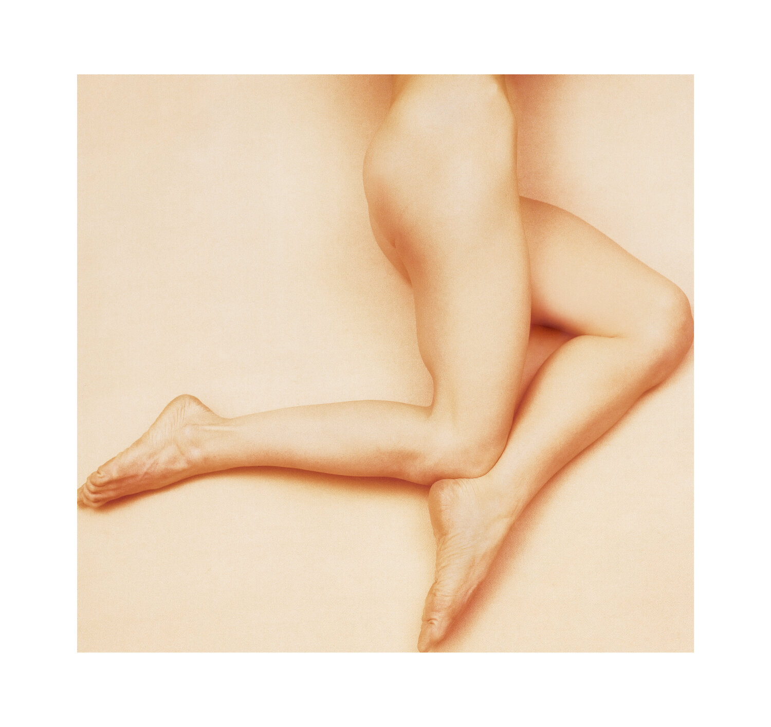 Untitled (Ref: 85S12) R. Scott MacLeay