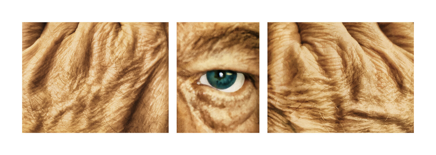 Searching / Tools / Traces (Triptych) R. Scott MacLeay