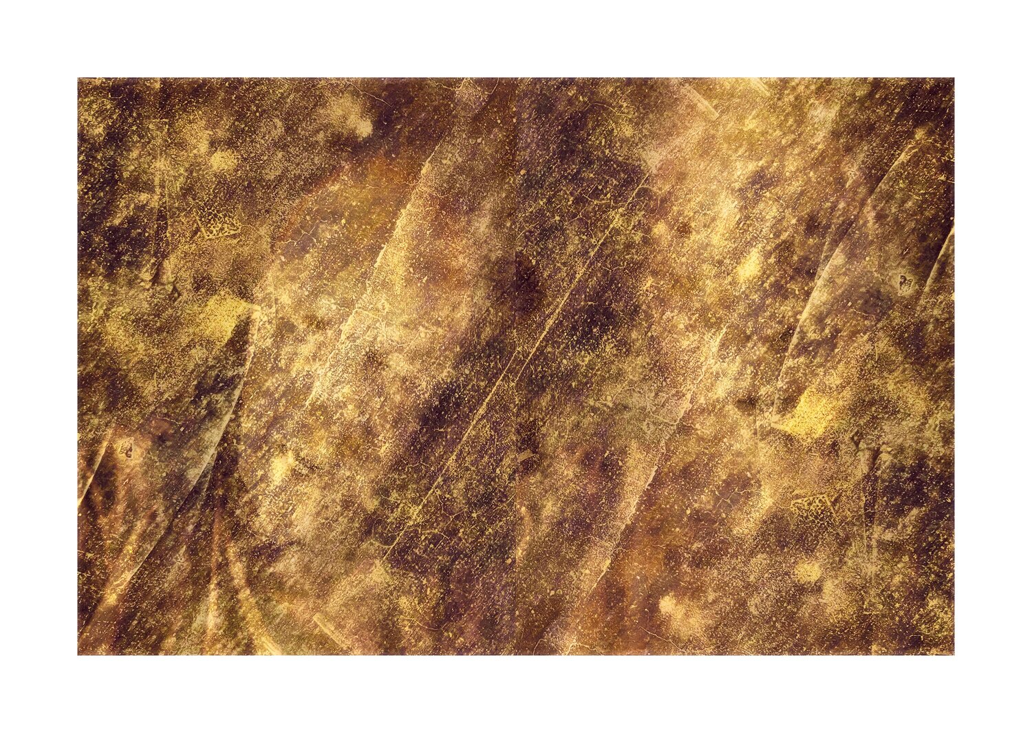Chronic Misunderstanding R. Scott MacLeay Digital for sale