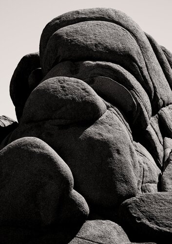 Caterpillar by Brandon LeValley, Photography for Sale on Singulart
