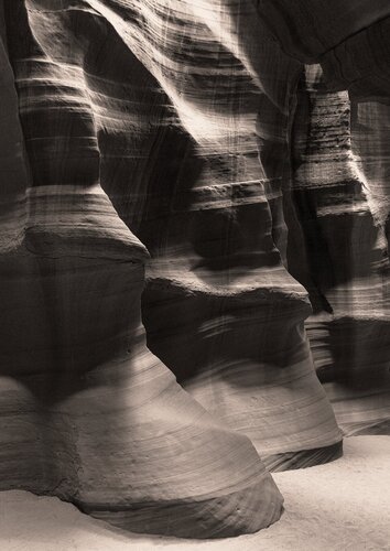 Equestrian di Brandon LeValley, Fotografia in vendita su Singulart