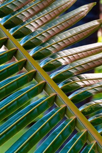 Untitled di Brandon LeValley, Fotografia in vendita su Singulart