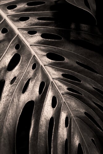 Untitled di Brandon LeValley, Fotografia in vendita su Singulart