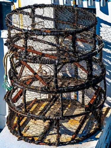 Crab Pots di Brandon LeValley, Fotografia in vendita su Singulart